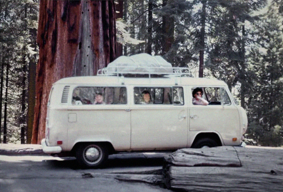 A vintage white van with three people inside is parked in a forest with tall trees and a large fallen log nearby. Luggage is strapped to the roof, and sunlight filters through the trees.
