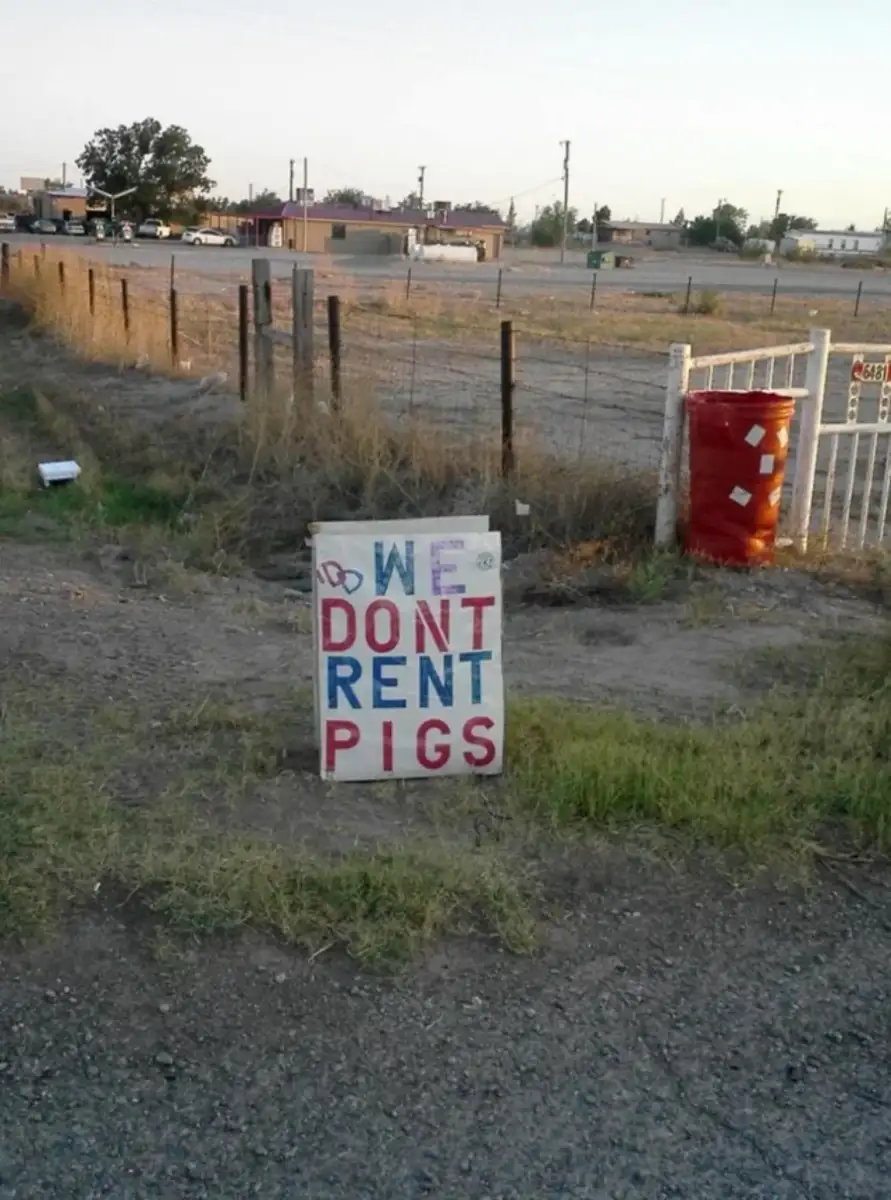 A handmade sign by a roadside reads "WE DON'T RENT PIGS" in colorful letters, standing on grass near a fence and a red barrel in a rural area.