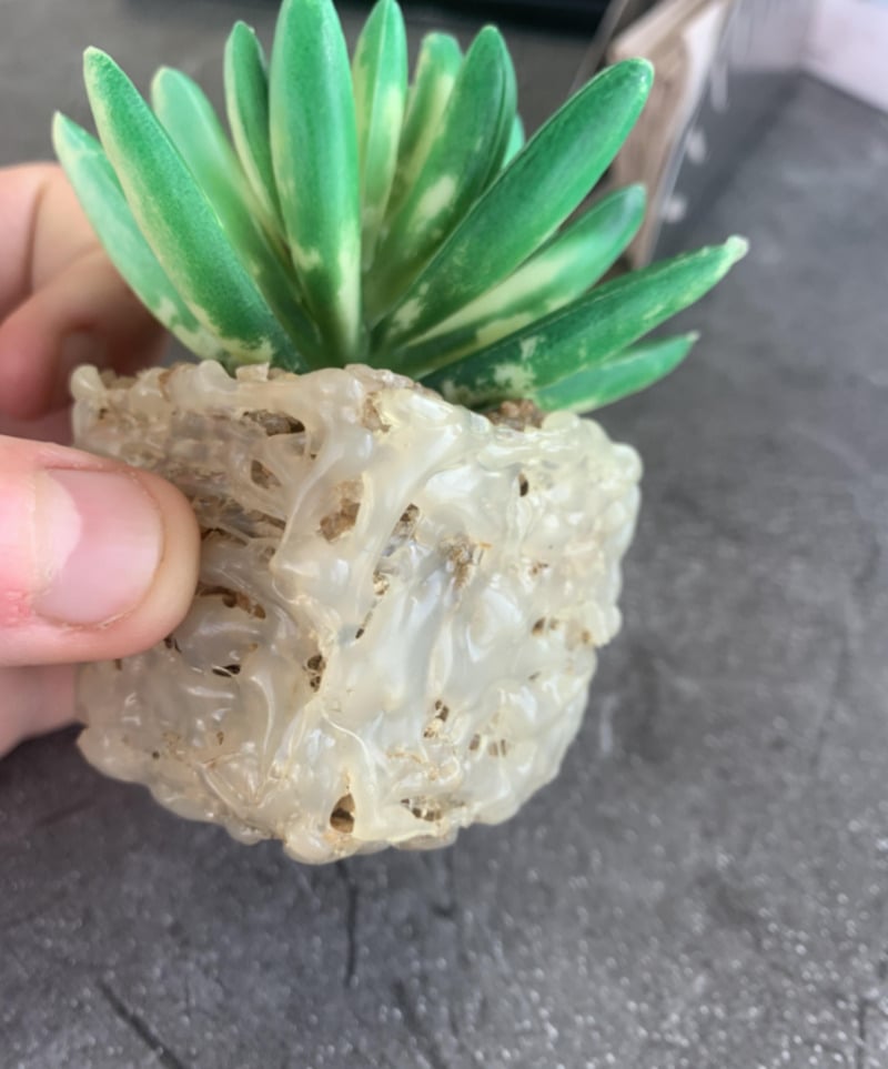A hand is holding a small fake succulent plant in a pot covered with a thick layer of dried hot glue, giving it a lumpy, translucent texture. The background is a gray, smooth surface.
