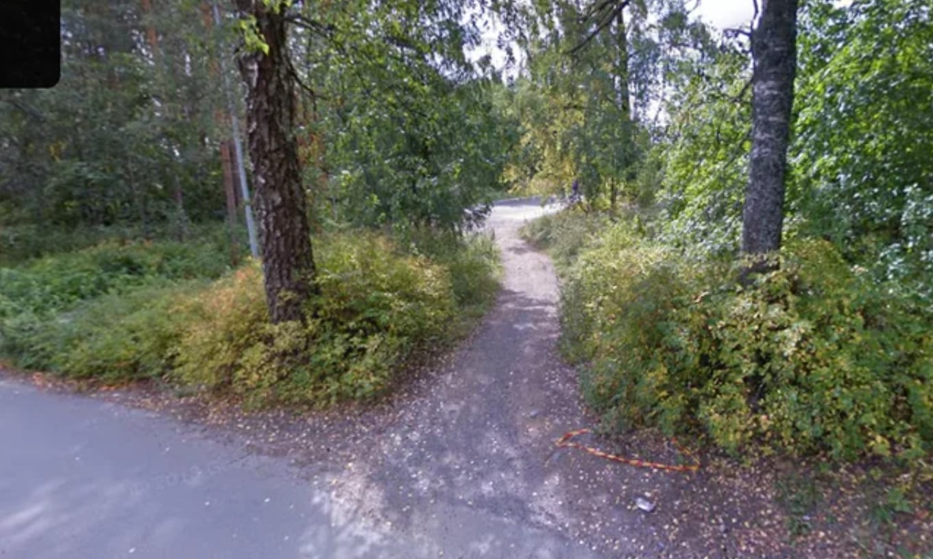 A narrow dirt path leads from a paved road into a green, leafy forest. Tall trees and dense bushes border the path, and sunlight filters through the foliage overhead.