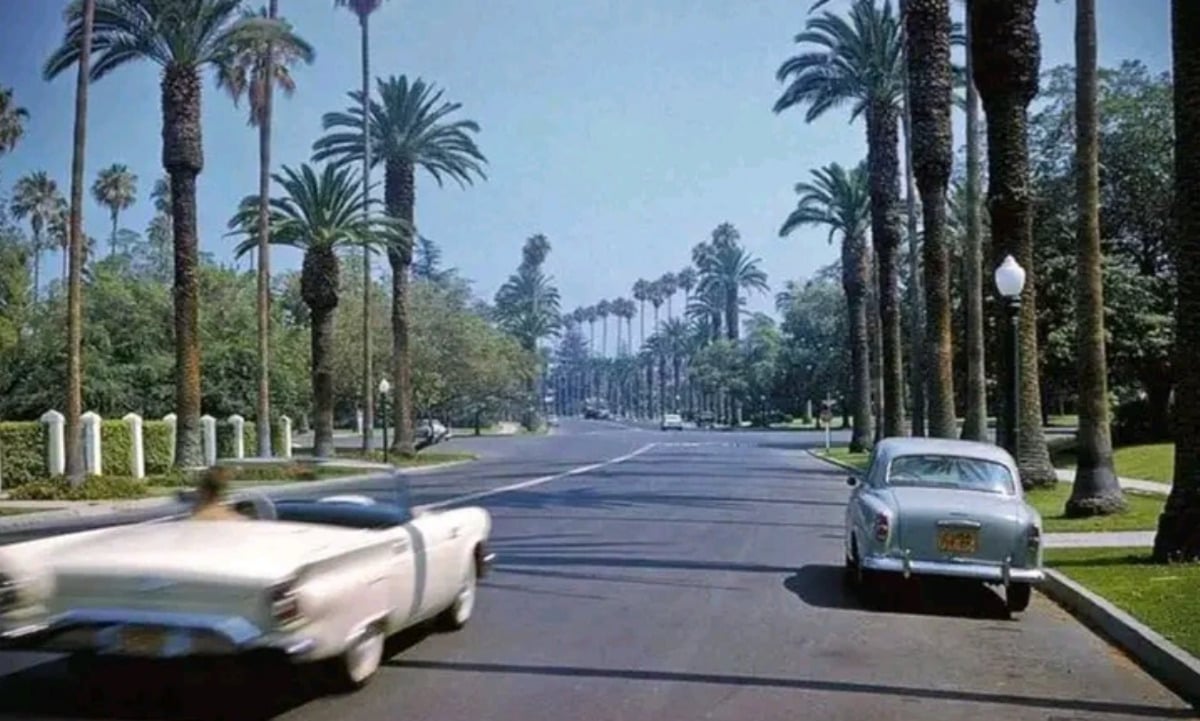 A wide street lined with tall palm trees, featuring a white convertible driving past and a silver classic car parked along the curb. The scene appears calm and sunny, evoking a mid-20th century Southern California atmosphere.