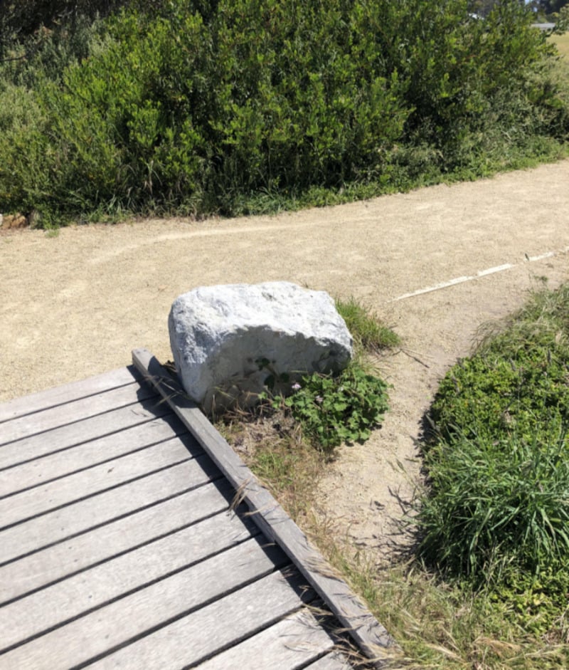 A large gray rock sits next to a wooden boardwalk and a dirt path, surrounded by green bushes and grass under bright sunlight.