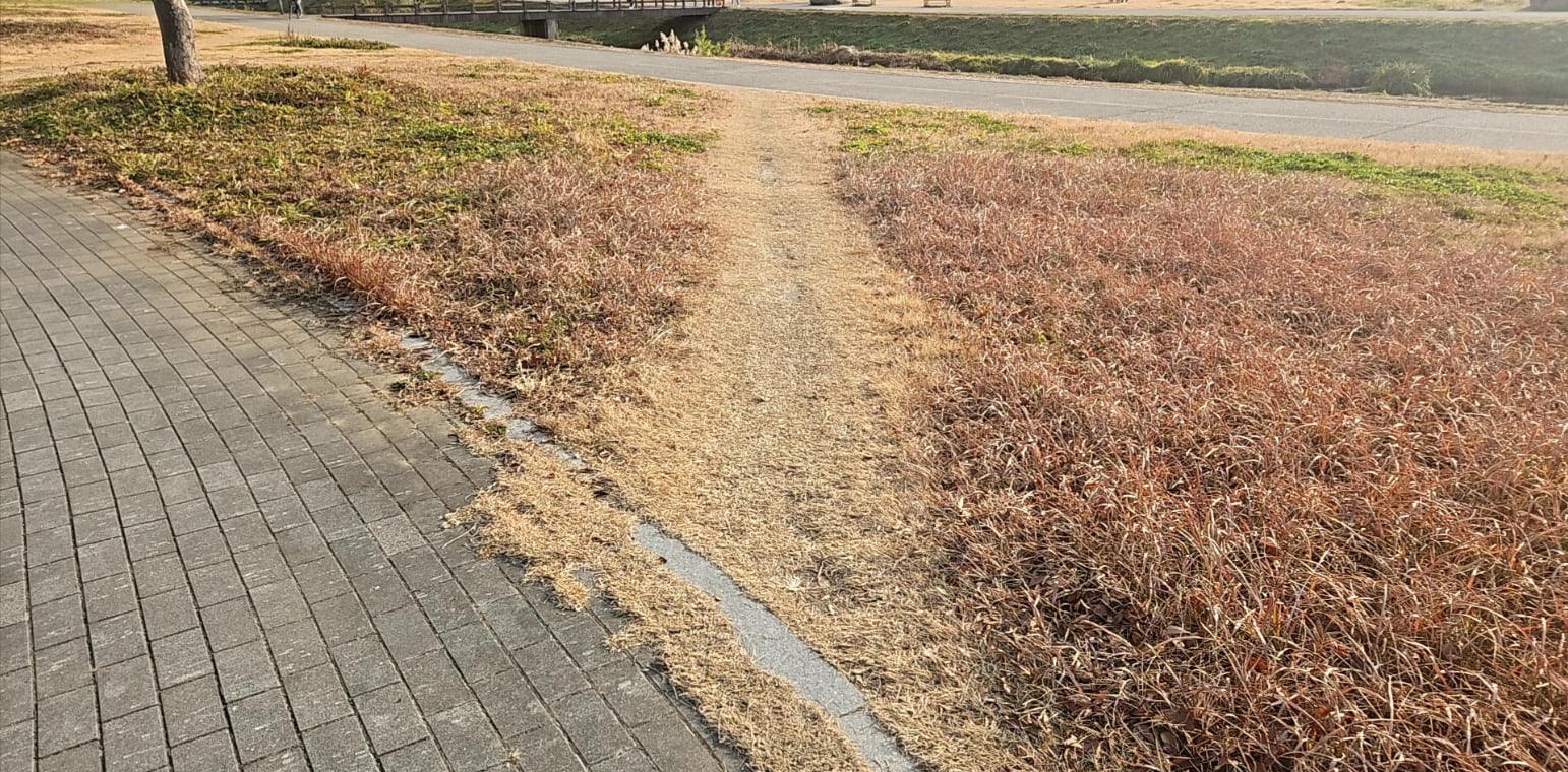 A narrow dirt path cuts through dry, brown grass, connecting a paved sidewalk on the left to a road in the distance, with a river and bridge visible in the background.