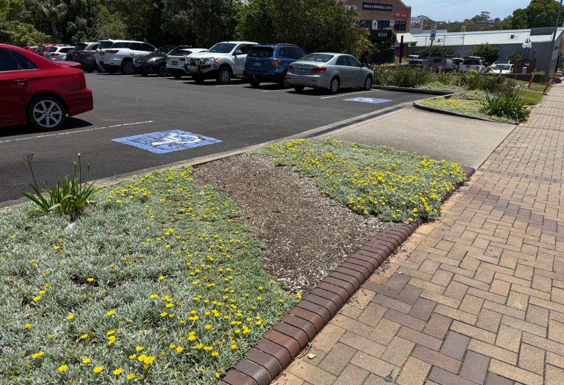 A landscaped garden bed with yellow flowers runs along a sidewalk next to a parking lot. Several cars are parked, including in blue marked accessible parking spaces. Shops and trees are visible in the background.