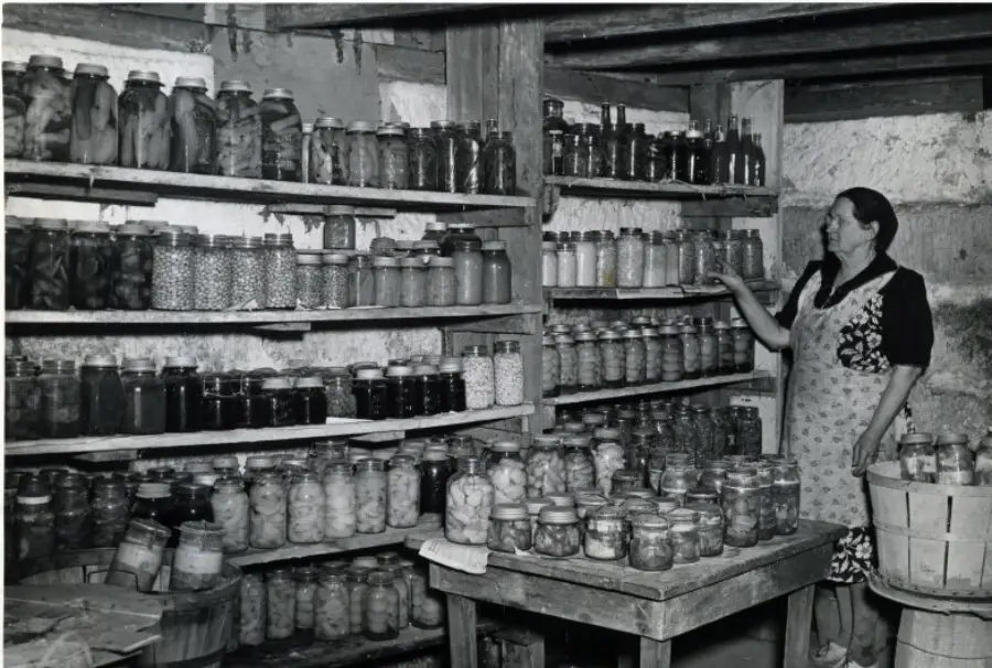 A woman in an apron stands in a cellar lined with shelves full of jars containing preserved fruits, vegetables, and canned goods. She gestures toward the neatly organized jars. A table with more jars is in the foreground.
