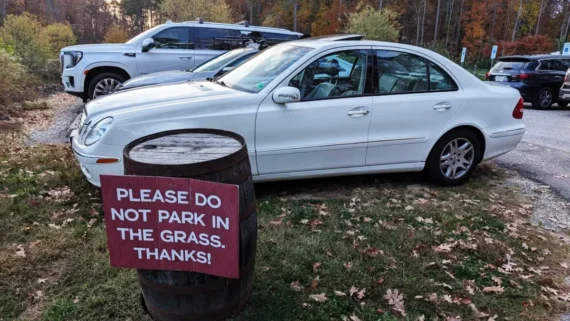 drivers-parking-like-rules-were-optional