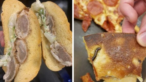 Side-by-side photo: Left, a sandwich roll cut in half with grayish meat and wilted lettuce inside. Right, a hand holding a slice of pepperoni pizza with a large black insect baked into the crust.