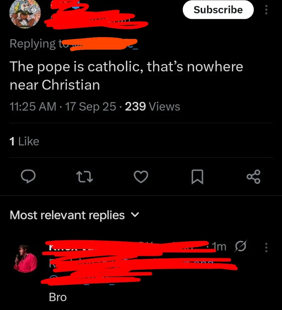 A social media post reads: "The pope is catholic, that’s nowhere near Christian." Below, a reply simply says, "Bro." Usernames and profile photos are redacted with red markings.