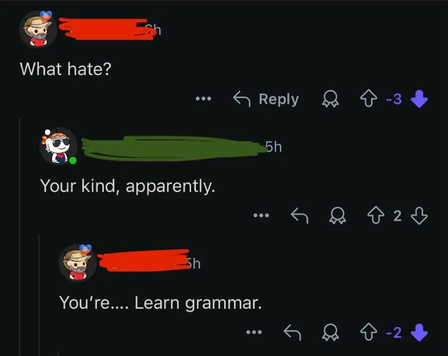 A Reddit comment thread where one user says, "Your kind, apparently." Another user corrects them, replying, "You're.... Learn grammar." The comment receives mixed upvotes and downvotes.