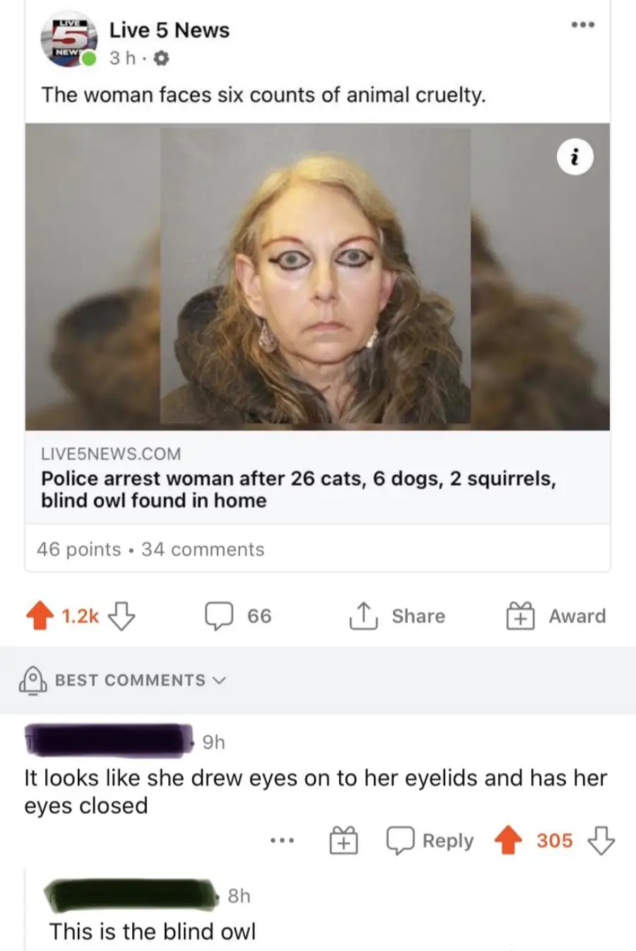 A news post shows a woman's mugshot with dramatic black eye makeup. The headline reports her arrest for animal cruelty involving 26 cats, 6 dogs, 2 squirrels, and a blind owl. Below are comments mocking her eye makeup.
