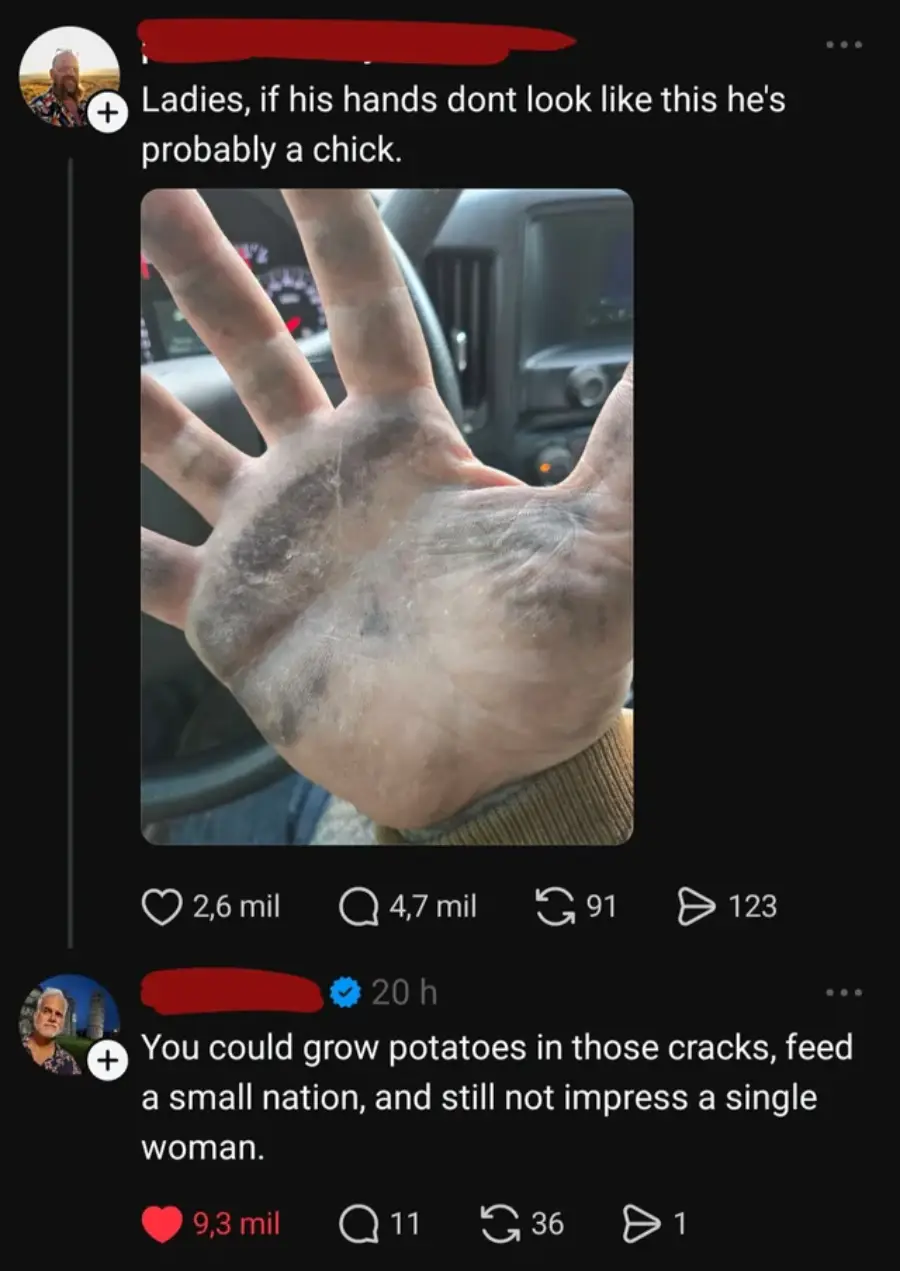 A hand with dirty, cracked skin is held up inside a vehicle. The tweet above says hands like this mean a man is not a "chick." A reply jokes that even with such hands, he wouldn't impress a woman.