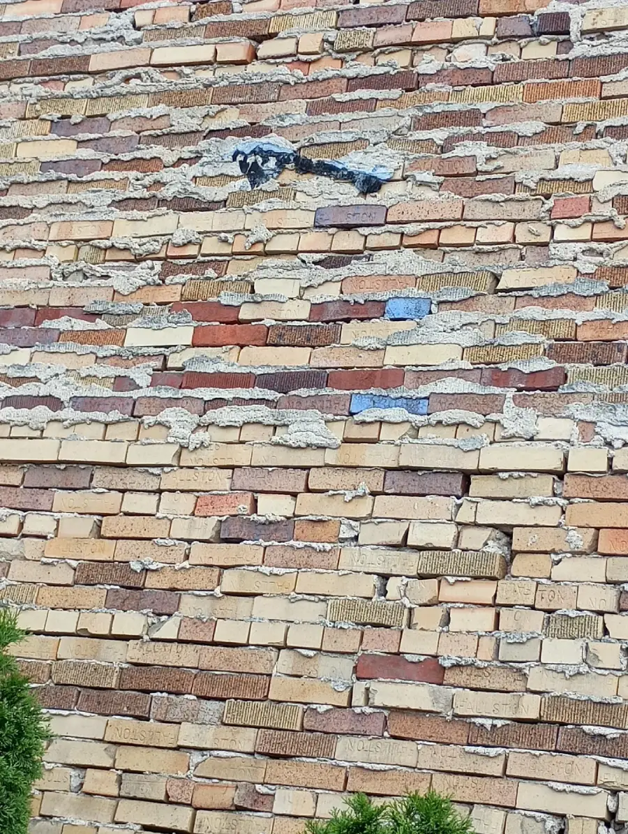 A weathered brick wall with uneven bricks and patches of mortar, some bricks showing red, beige, and orange hues. Small green shrubs are visible at the bottom edge of the image.