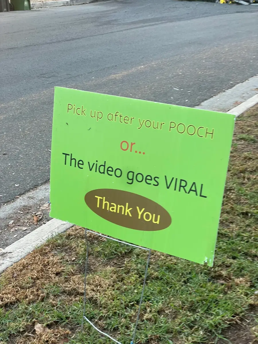 A green yard sign by the curb reads, “Pick up after your POOCH or… The video goes VIRAL. Thank You.”