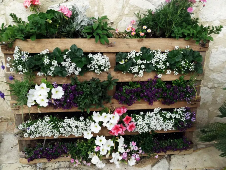 A wooden pallet stands vertically against a stone wall, with its slats filled with various blooming flowers and green plants in shades of white, pink, and purple.