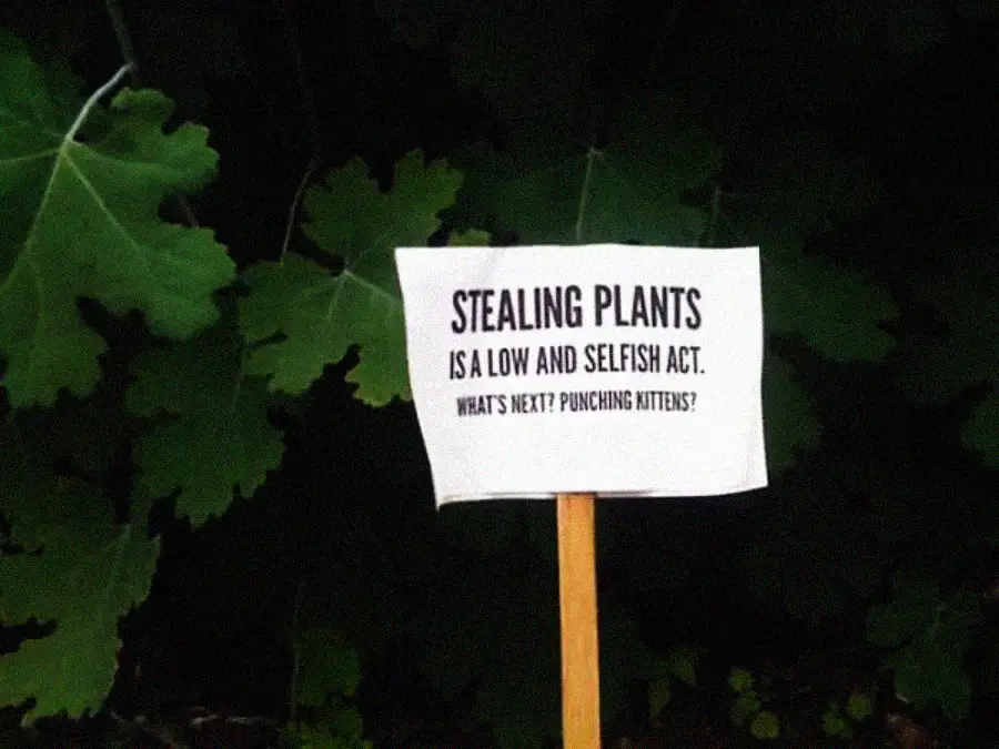 A sign among green leaves reads: "Stealing plants is a low and selfish act. What’s next? Punching kittens?