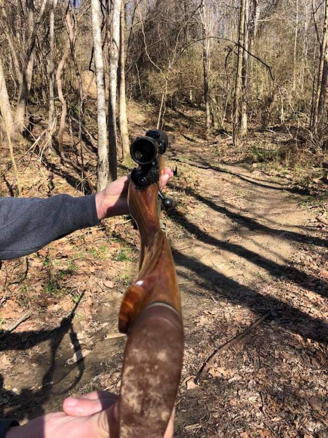 A person aiming a rifle with a scope in a wooded area on a sunny day. The view is from behind the gun, showing the forest trail ahead, bare trees, and fallen leaves on the ground.