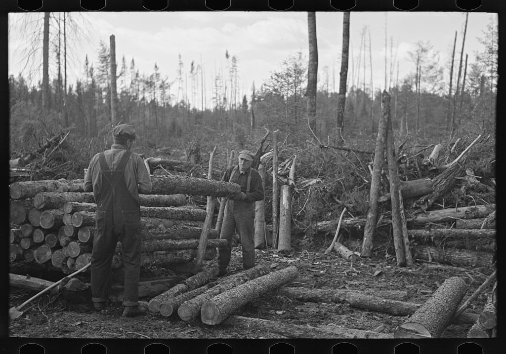 Two people in work clothes lift and move a large log in a forested area. Stacks of cut logs and scattered branches are visible around them, with trees and brush in the background.