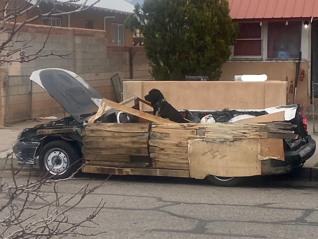 A damaged car covered with wooden planks is parked on the street. The hood is open, and a black dog is sitting inside the car, looking out. There is a house and trees in the background.