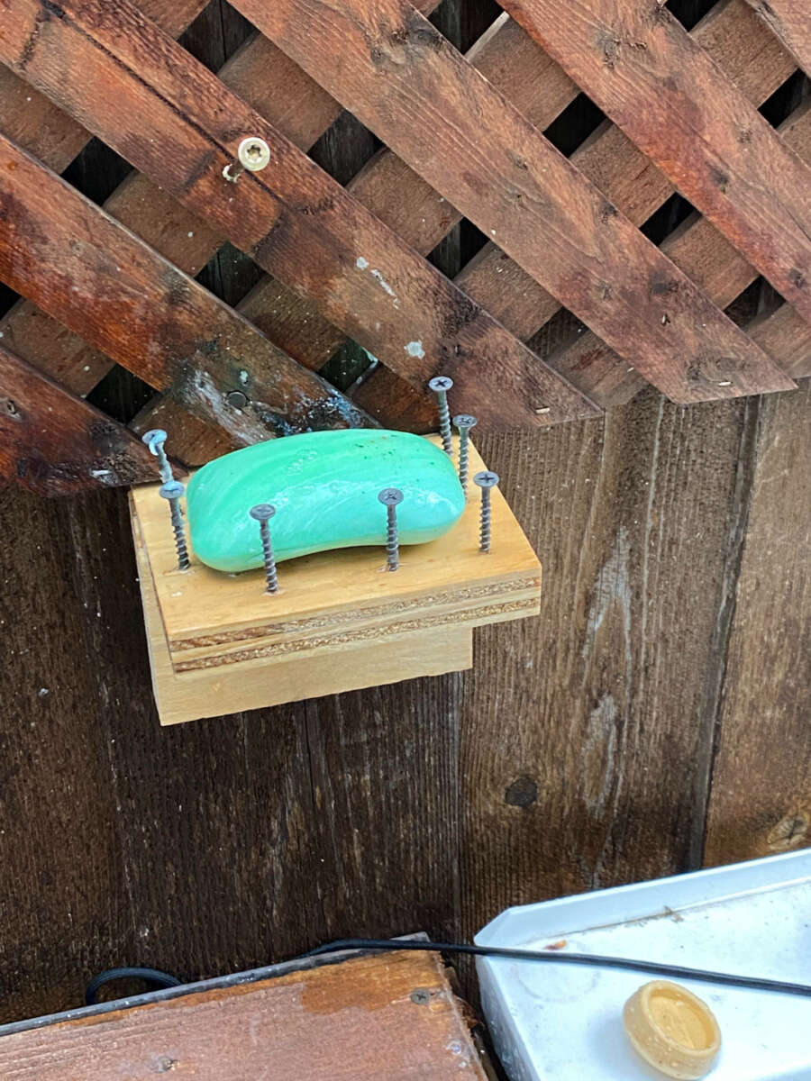 A green bar of soap rests on a small wooden platform, held in place by several upright screws around its edges. The platform is attached to a wooden fence with lattice above it.