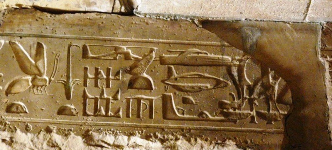 Ancient Egyptian hieroglyphs carved into a worn stone surface, featuring various symbols including a bee, birds, and other traditional hieroglyphic shapes.
