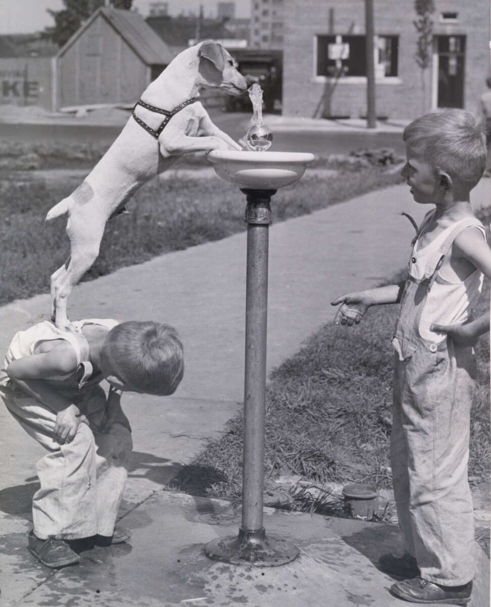 A black and white photo of a boy bending over to let a dog stand on his back and drink from a water fountain, while another boy in overalls watches nearby on a sunny day.