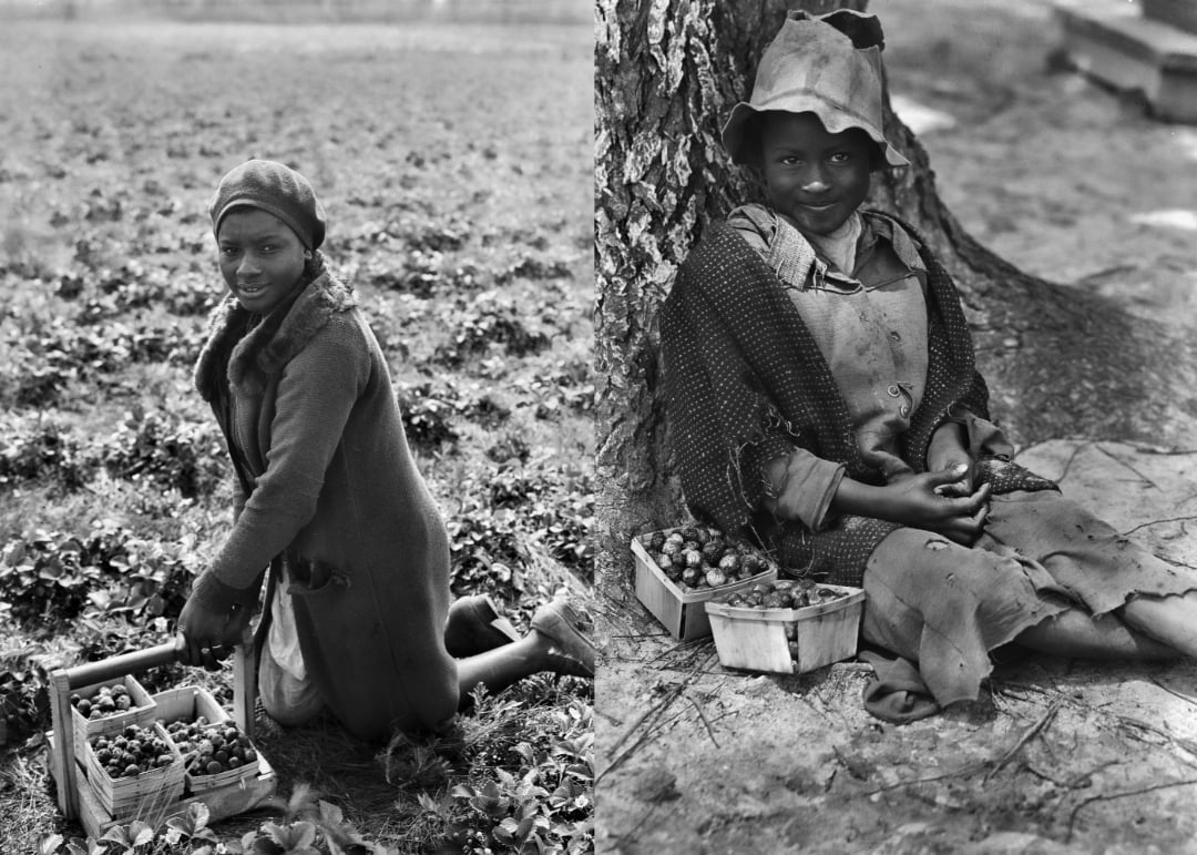 Two Black girls from the early 1900s are shown outdoors harvesting berries. One kneels by baskets in a field, while the other sits against a tree in worn clothes, holding berries with two small baskets beside her.