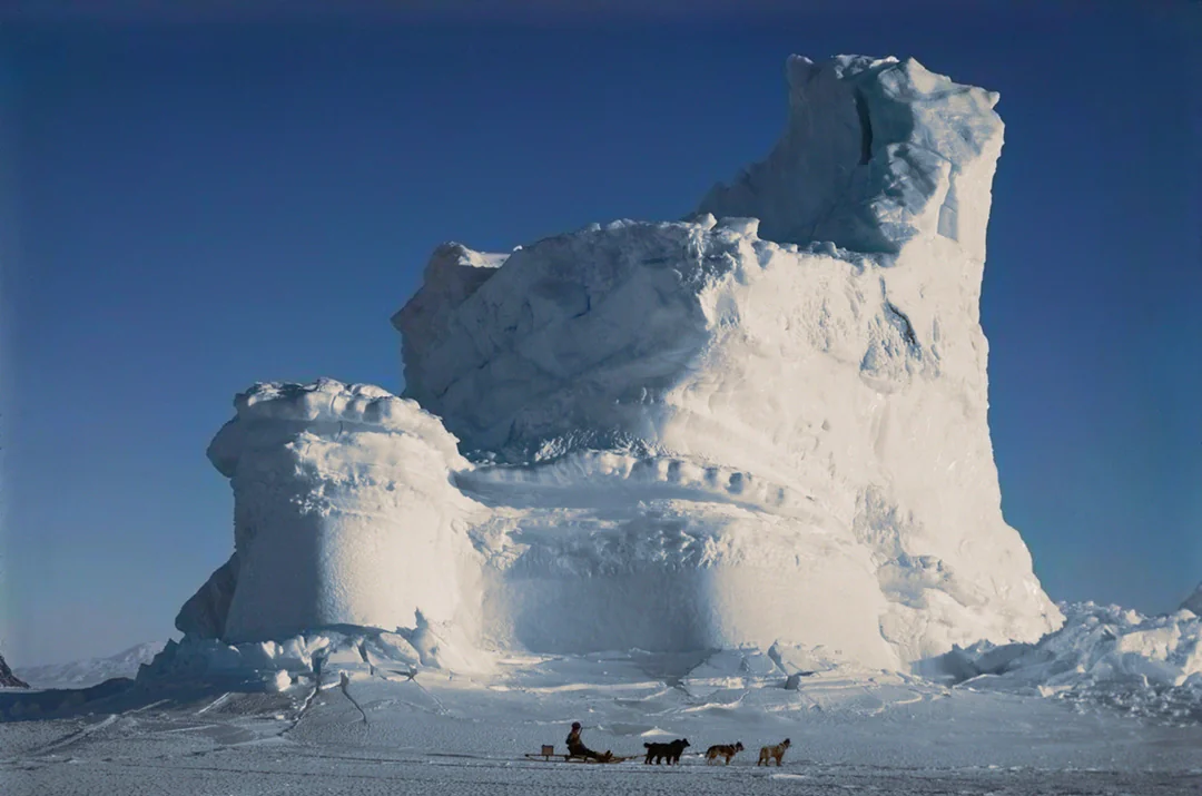 A person rides a dog sled past a massive, irregularly shaped iceberg under a clear blue sky, with five dogs pulling the sled across the snowy landscape.