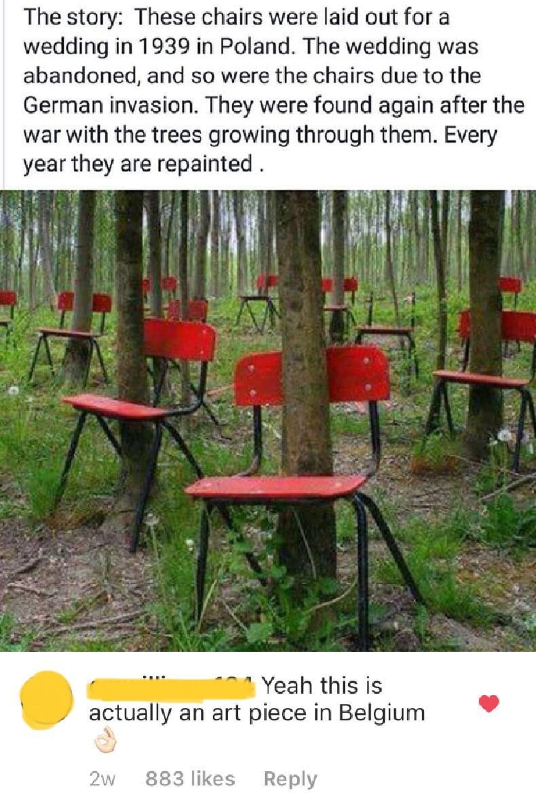 Rows of red chairs with black legs are arranged among trees in a forest. The chairs appear weathered, and some trees have grown through the seats. There is grass and greenery on the ground.