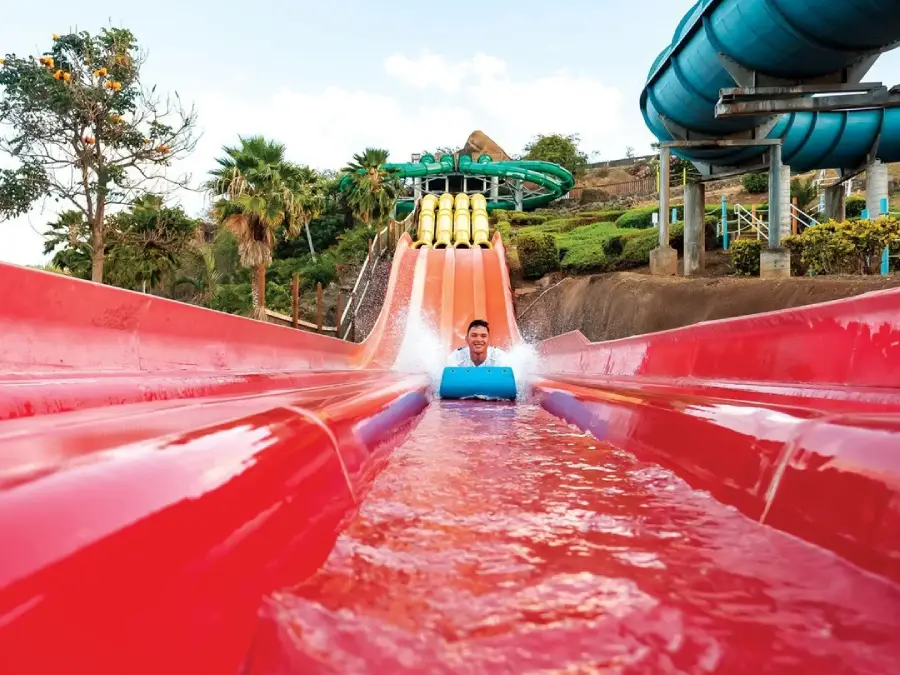 A person rides a bright red water slide on a blue mat, splashing down at high speed in a tropical water park surrounded by palm trees, greenery, and other colorful slides in the background.