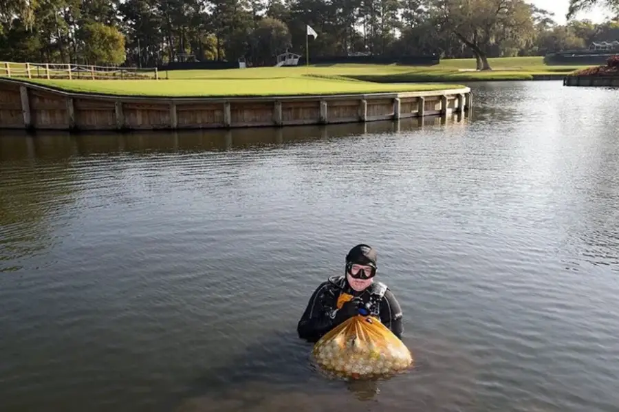 A scuba diver stands in a pond holding a large mesh bag filled with golf balls, with a golf course and putting green visible in the background.