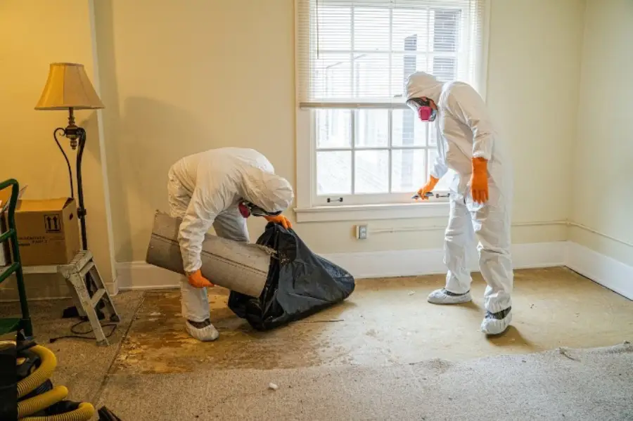 Two people wearing white hazmat suits, gloves, and masks remove carpet and padding from a room with bare flooring and minimal furniture, working near a window with sunlight coming in.
