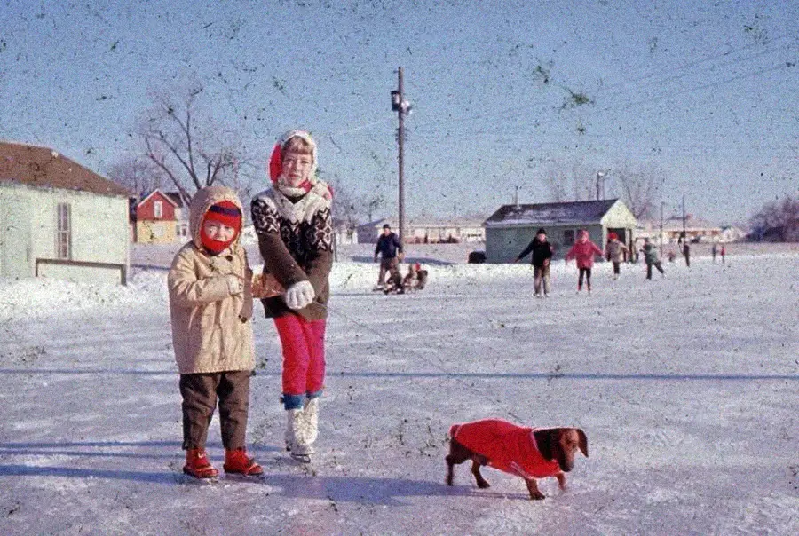 Two children and a small dog in a red coat stand on a snowy outdoor ice rink; people skate in the background under a clear blue sky, with buildings and bare trees visible.