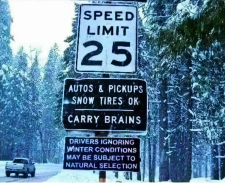 A snowy road lined with trees features a speed limit 25 sign. Below it, humorous signs read: "AUTOS & PICKUPS SNOW TIRES OK CARRY BRAINS" and "DRIVERS IGNORING WINTER CONDITIONS MAY BE SUBJECT TO NATURAL SELECTION.