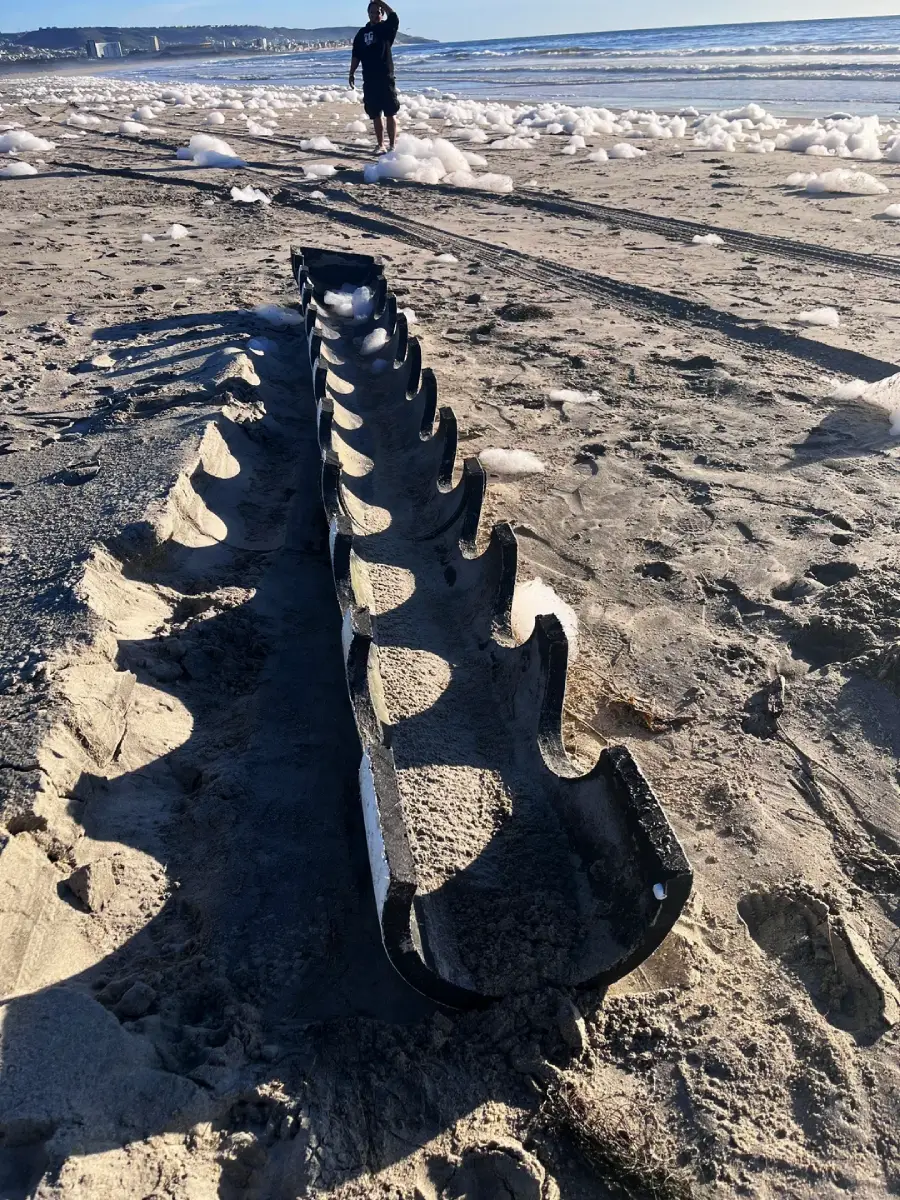 A large rib-like skeleton, possibly from a whale, lies partially buried in wet sand on a beach with scattered white foam. A person walks in the background near the shoreline under a clear sky.