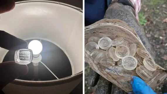 things-people-found-internet-baffled