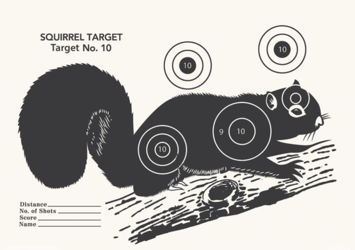 Black and white illustration of a squirrel on a branch used as a shooting target, with circular bullseye targets marked with scores on the head, chest, and body, and a small scoring table at the bottom left.