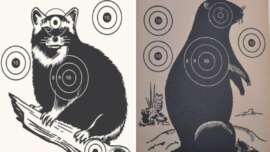 Two black and white illustrations of animals, a raccoon on the left and a beaver on the right, both shown as targets with concentric scoring circles and numbers on their bodies.