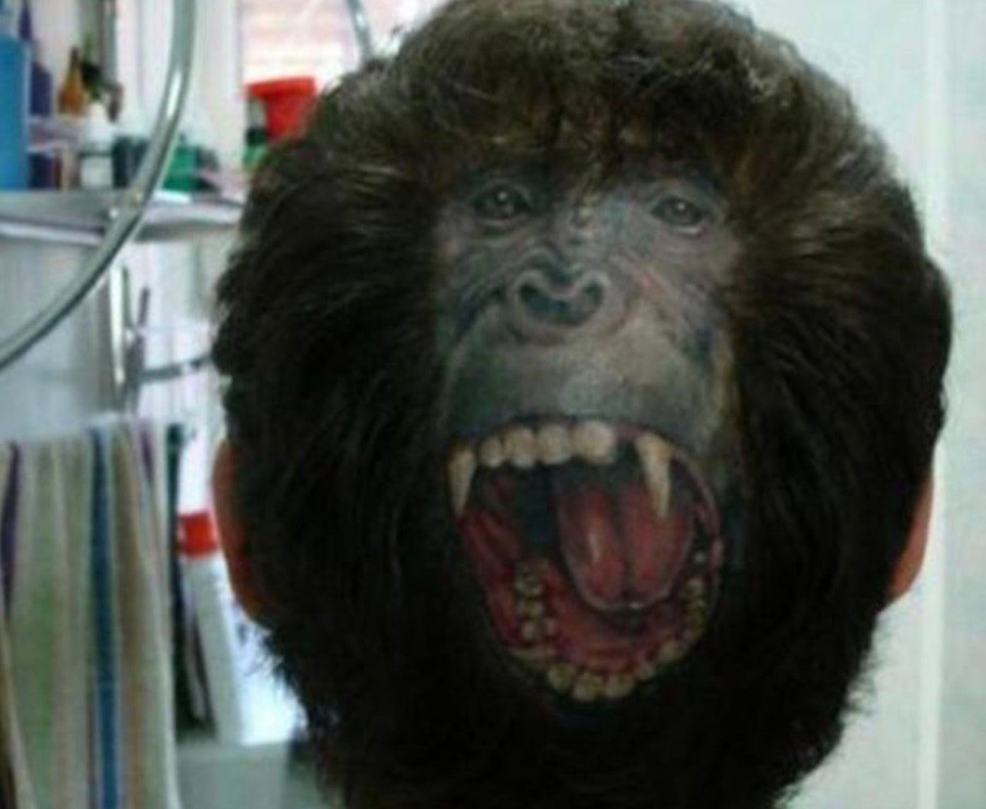 A person with a realistic tattoo of a roaring monkey’s face on the back of their head, making the head appear like an open-mouthed monkey when viewed from behind. The background shows a bathroom setting.
