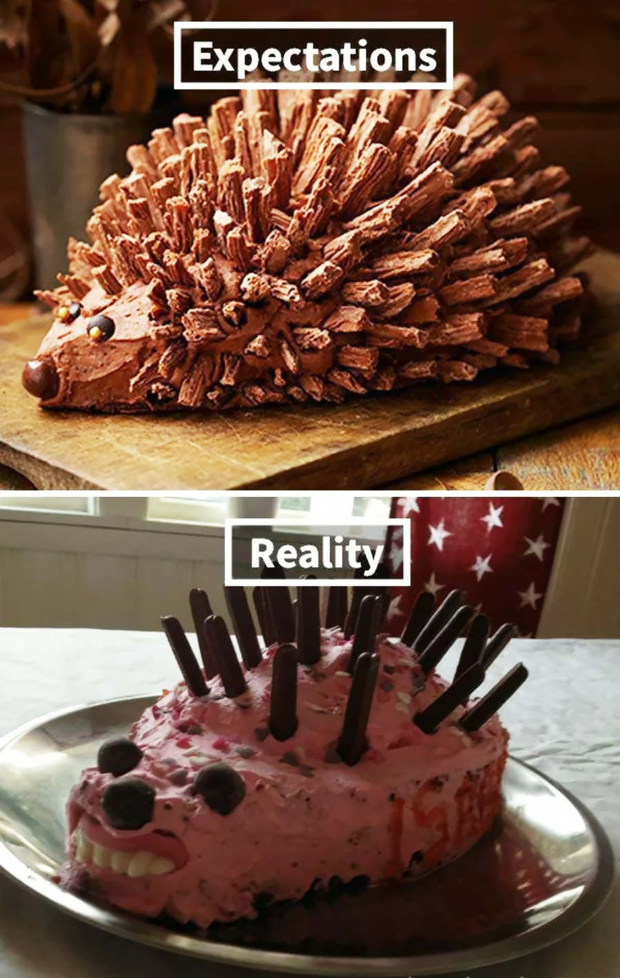 Two images: The top shows a realistic hedgehog cake with neat chocolate spikes labeled "Expectations." The bottom shows a messy pink cake with uneven spikes labeled "Reality.