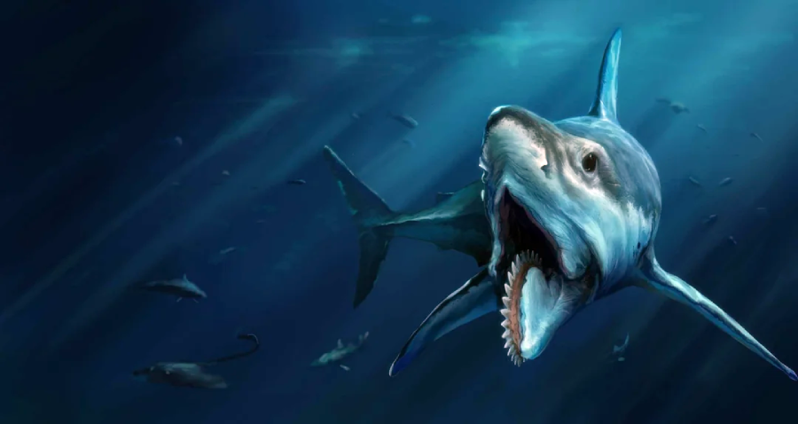 A large prehistoric shark swims toward the viewer with its mouth open wide, showing sharp teeth, while other sea creatures swim in the dark blue ocean background.