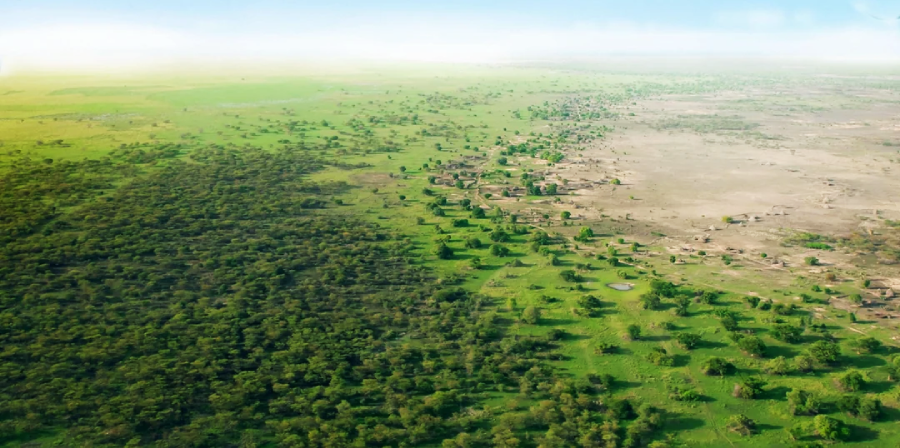 Aerial view showing a stark contrast between dense green forest on the left and a dry, barren landscape with scattered houses on the right, highlighting deforestation. Bright sky above.