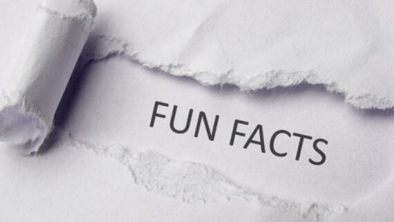 A sheet of white paper is torn open, revealing the words "FUN FACTS" printed in bold, black letters beneath the torn section.