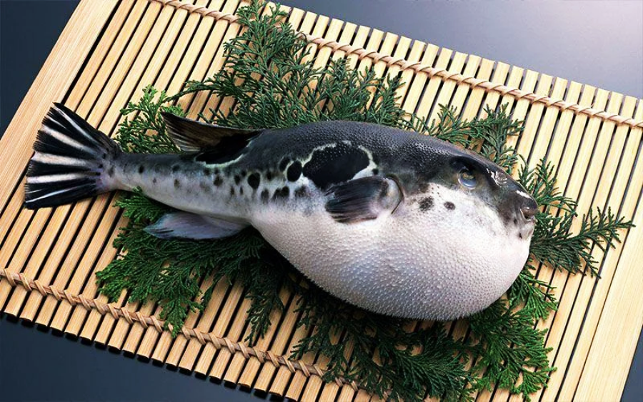 A whole pufferfish with a round, inflated body is placed on green leaves atop a bamboo mat, displayed as part of a traditional Japanese presentation.
