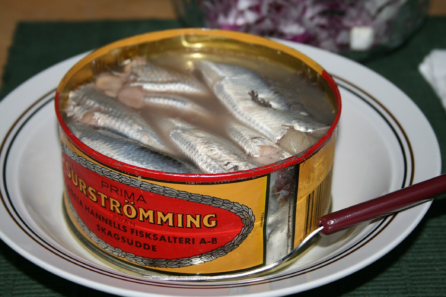 An opened can of surströmming, a Swedish fermented fish, sits on a white plate with a fork beside it. The fish are visible, packed tightly in brine inside the can.