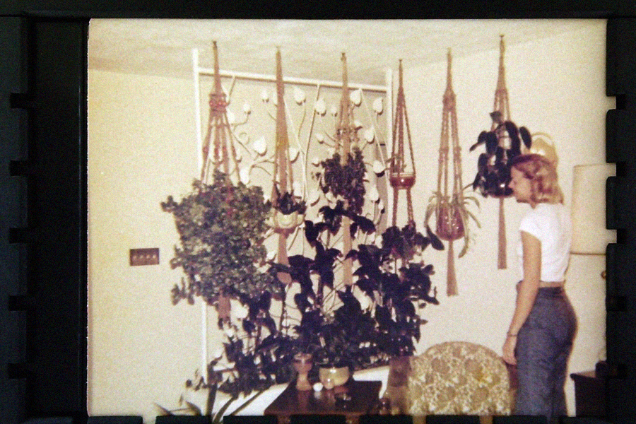 A woman stands in a living room, looking at various hanging and potted plants arranged near a white room divider. The decor and her clothing suggest the 1970s or 1980s.