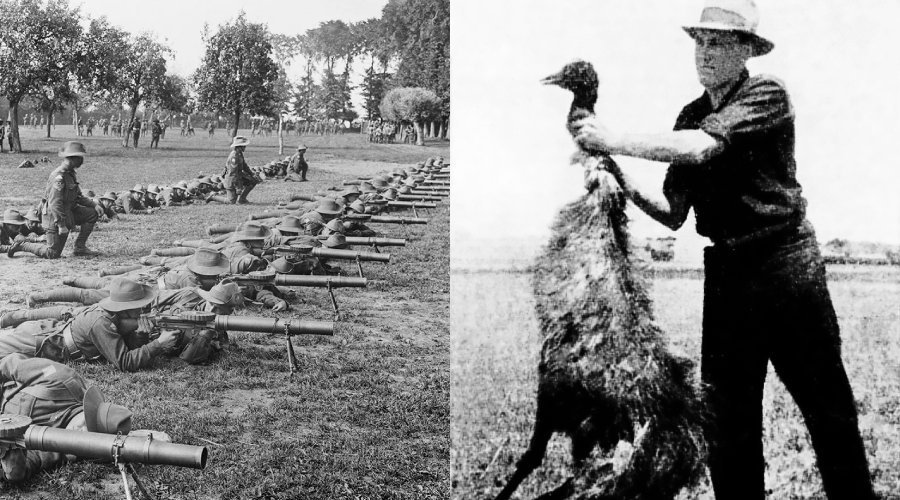 Split image: Left shows rows of soldiers in hats lying on grass, aiming rifles in a park-like area. Right shows a man standing on grass holding a large emu upright by its neck and body. Both images are in black and white.
