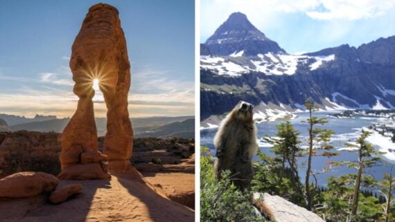 Left: Sun shining through Delicate Arch rock formation in a desert landscape. Right: A marmot stands upright on a rock with a scenic mountain and lake view in the background, partially covered with snow.