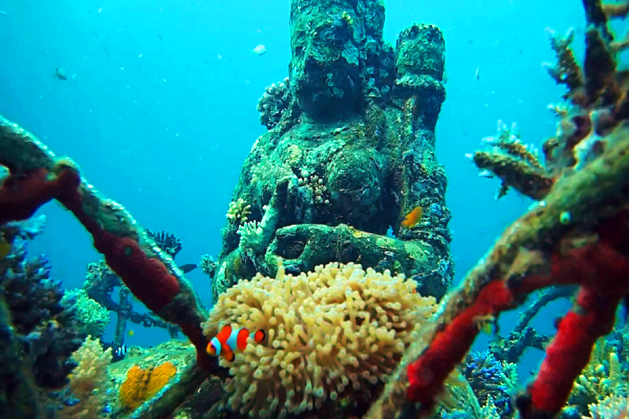 An underwater statue of a seated figure surrounded by coral, with a clownfish swimming near sea anemones in the foreground. The scene is colorful and vibrant under clear blue water.