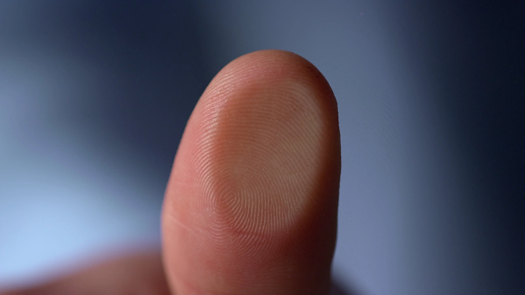 A close-up image of a human thumb with visible fingerprint ridges against a blurred blue and gray background.