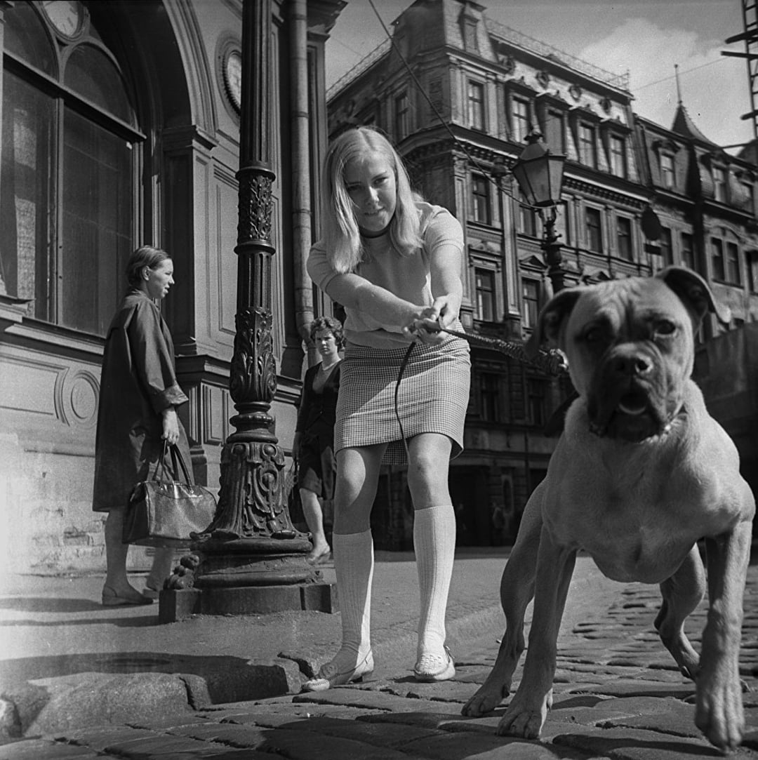 A woman in a skirt and knee-high socks holds a large dog by its leash on a cobblestone street, while two people walk by in the background amid historic European buildings. The dog looks toward the camera.